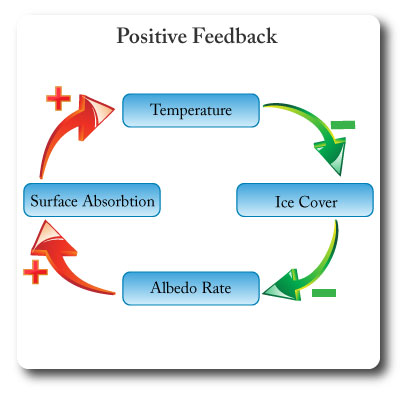 IB environmental systems positive feedback